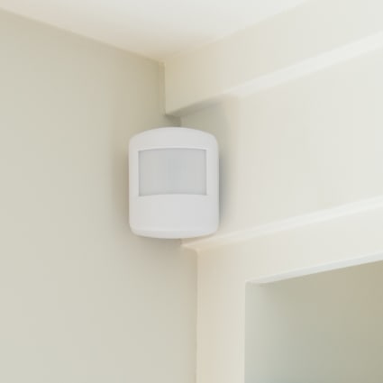 Stockton motion sensor